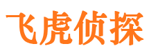 点军侦探调查公司